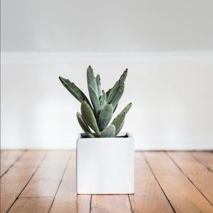 Meet your Posher, Audrey